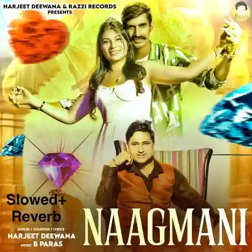 Seene Se Laga Ke Rakhu - Harjeet Deewana cover image