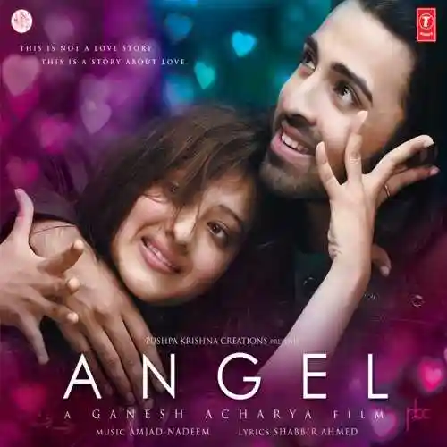 Angel 2011 cover image