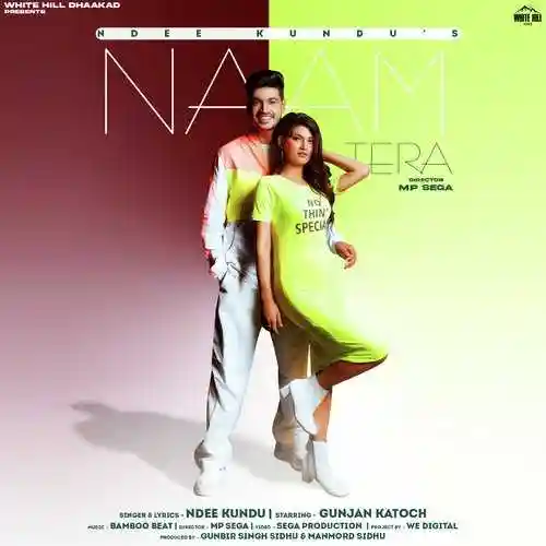 Naam Tera - Ndee Kundu 2021 cover image