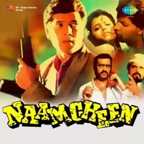 Naamcheen 1991 cover image