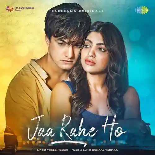 Jaa Rahe Ho - Yasser Desai 2022 cover image