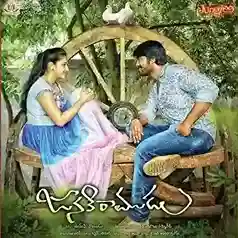 Janaki Ramudu 2016 cover image
