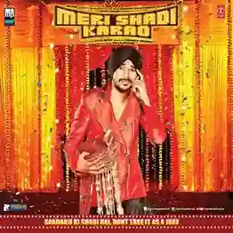 Naina From Meri Shaadi Karao cover image