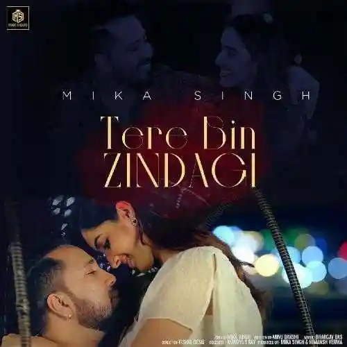 Tere Bin Zindagi - Mika Singh 2021 cover image