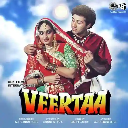 Veertaa 1993 cover image