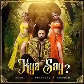 Kya Say? - Sukriti Kakar 2022 cover image