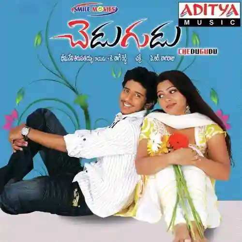 Vallu Kallu cover image
