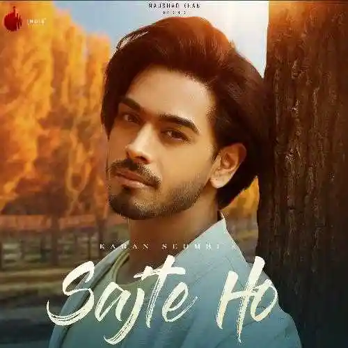 Sajte Ho - Karan Sehmbi cover image
