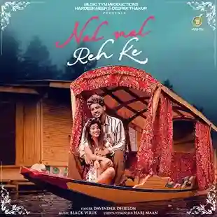 Nal Nal Reh Ke - Davinder Dhillon cover image