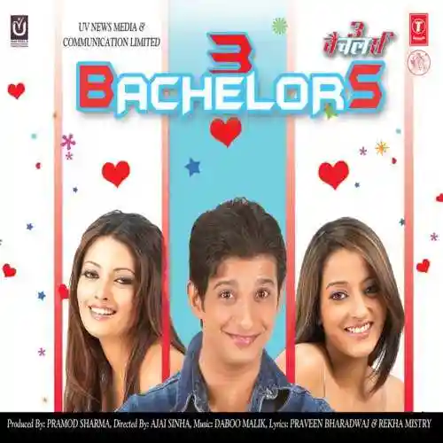 3 Bachelors 2012 cover image