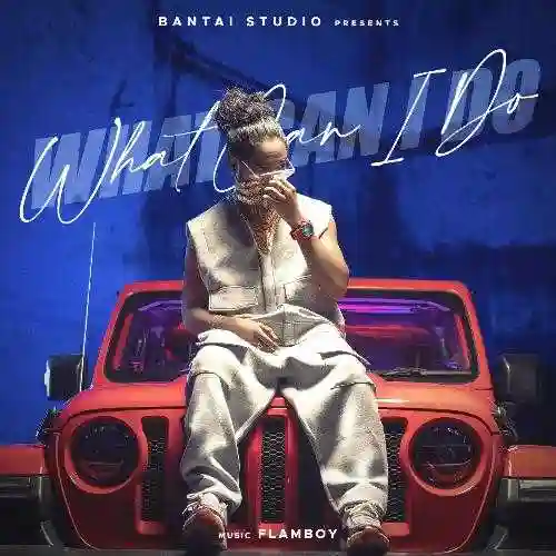What Can I Do - Emiway Bantai cover image