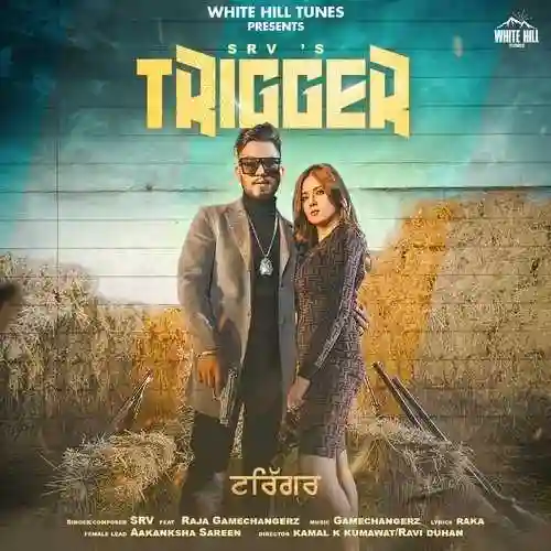 Trigger - Srv cover image