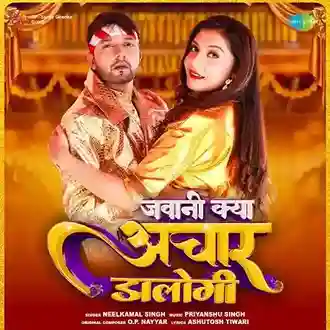 Jawani Kya Achaar Dalogi - Neelkamal Singh 2022 cover image