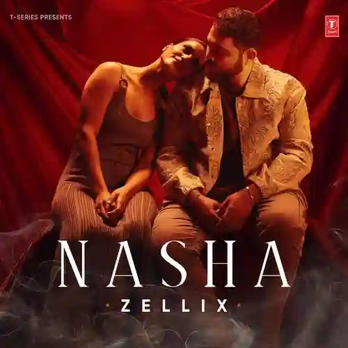 Nasha - Zellix 2025 cover image