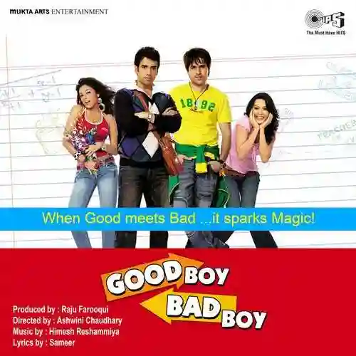 Good Boy Bad Boy 2007 cover image