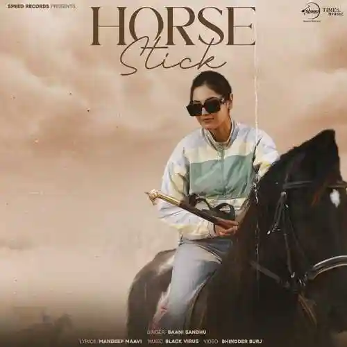 Horse Stick - Baani Sandhu 2024 cover image