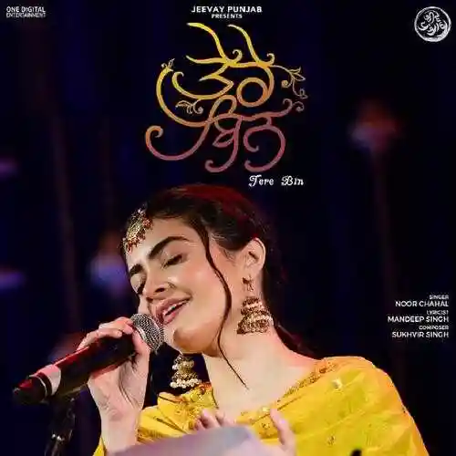 Tere Bin - Noor Chahal cover image