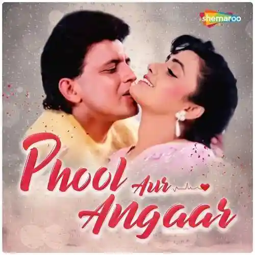 Phool Aur Angaar 1993 cover image