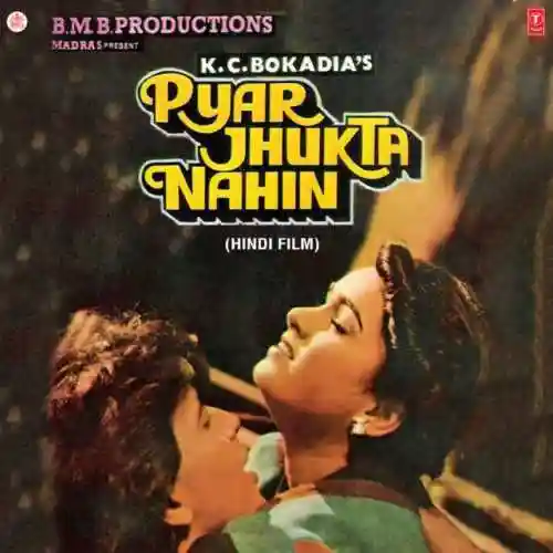 Tumse Milkar Na Jane (Male Version) cover image