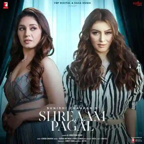 Shreaam Pagal - Sunidhi Chauhan 2021 cover image