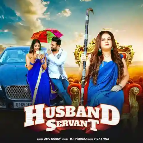 Husband Servant - Anu Dubey 2024 cover image