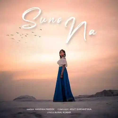 Suno Na - Aviral Kumar cover image