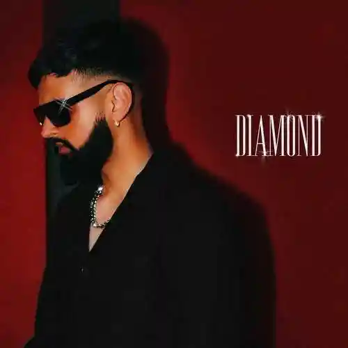 Diamond - Ricki Dhindsa cover image