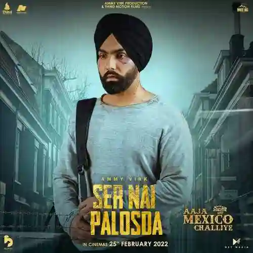 Ser Nai Palosda - Ammy Virk cover image