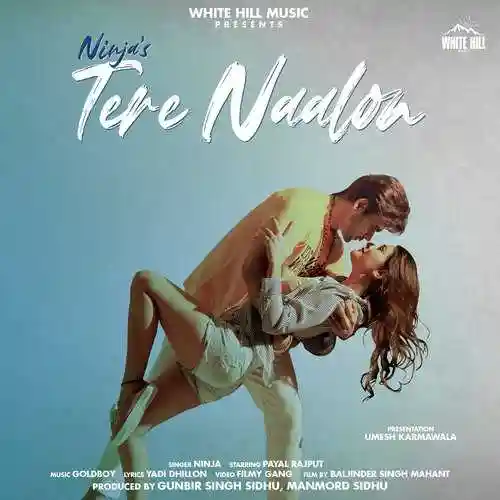 Tere Naalon - Ninja cover image