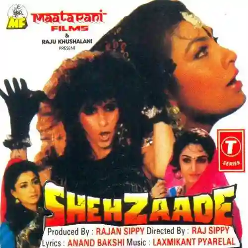 Shehzaade 1989 cover image