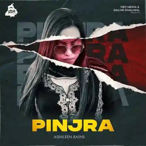 Pinjra - Aishleen Bains cover image