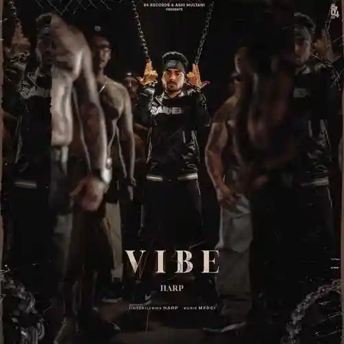Vibe - Harp 2021 cover image