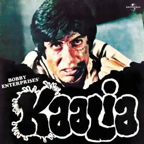 Kaalia 1981 cover image