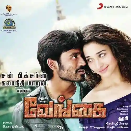 Pudikale Pudikudhu cover image