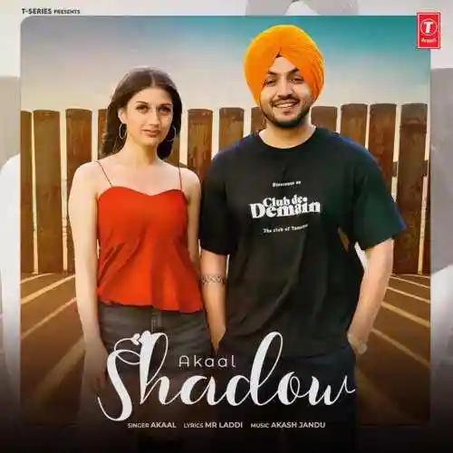 Shadow - Akaal cover image