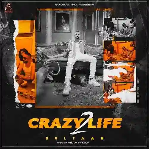 Crazy Life 2 - Sultaan cover image
