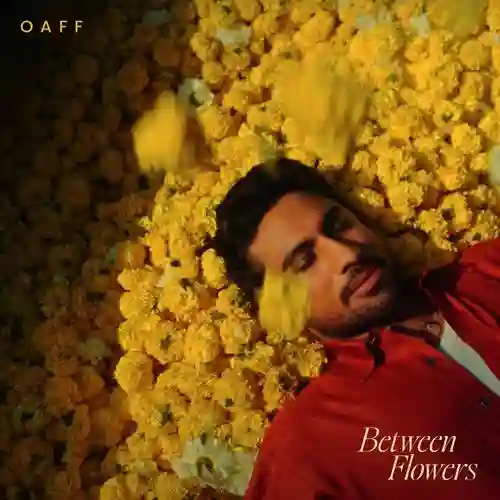 Between Flowers 2025 cover image