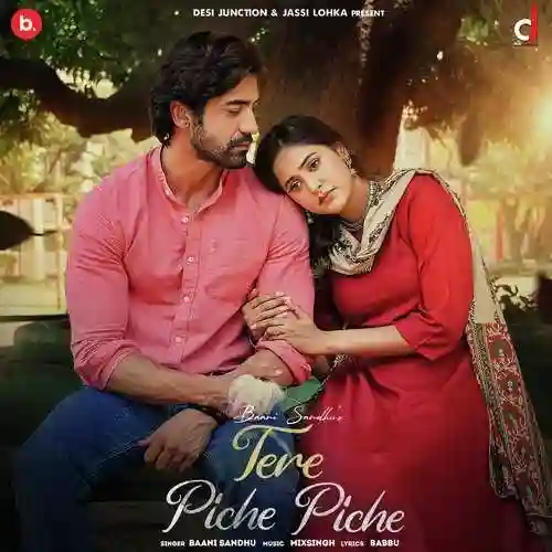 Tere Piche Piche - Baani Sandhu cover image