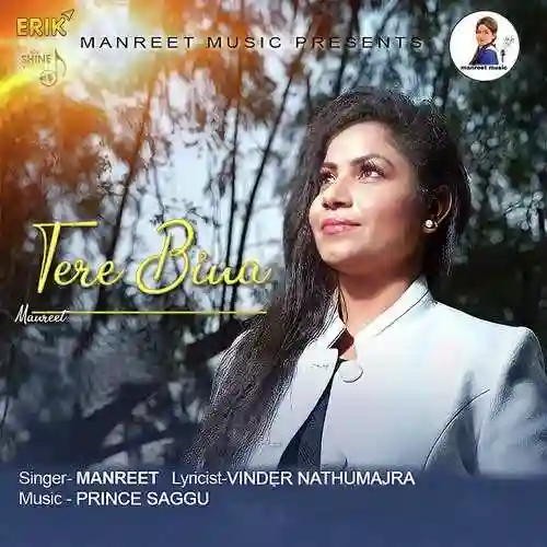 Tere Bina - Manreet cover image