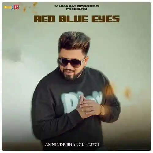 Red Blue Eyes - Amnindr Bhangu 2024 cover image