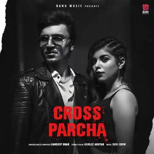 Cross Parcha - Sandeep Brar cover image