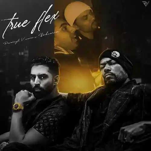True Flex - Parmish Verma 2024 cover image