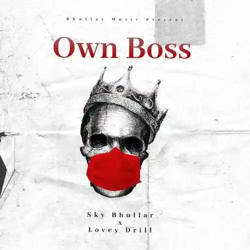 Own Boss - Sky Bhullar cover image
