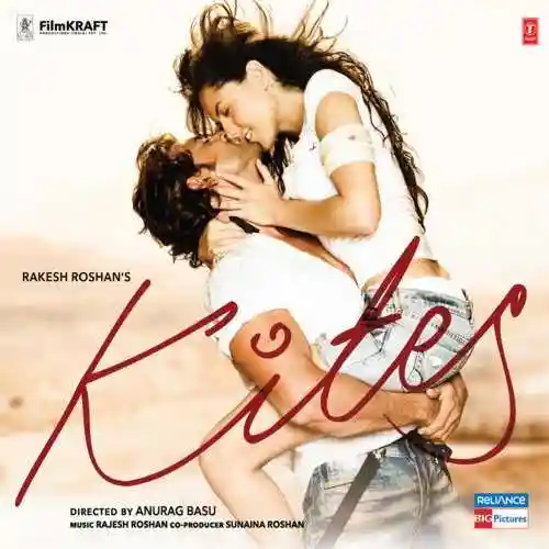 Kites 2010 cover image