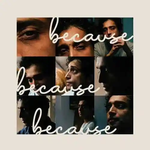 Because Because Because - Nikhil Dsouza 2023 cover image