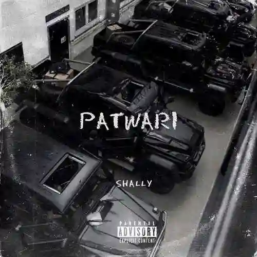 Patwari - Shally Rehal cover image