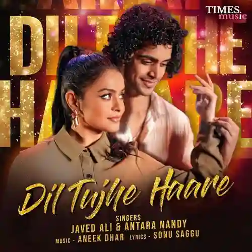 Dil Tujhe Haare - Sonu Saggu 2025 cover image
