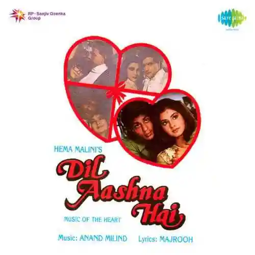 Dil Aashna Hai 1992 cover image