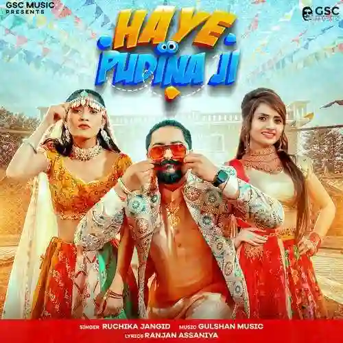 Haye Pudina Ji - Ruchika Jangid - Ruchika Jangid cover image