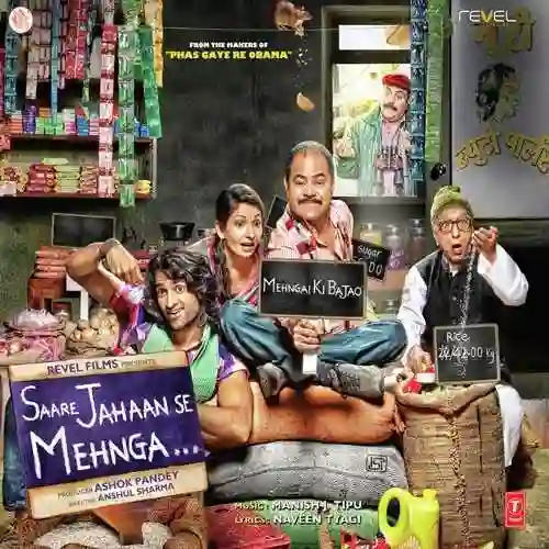 Saare Jahaan Se Mehnga 2013 cover image